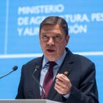 El ministro de Agricultura, Pesca y Alimentación, Luis Planas