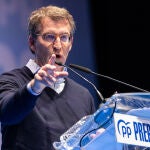 El candidato a la presidencia del PP, Alberto Núñez Feijóo