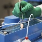Imagen tomada en uno de los laboratorios de Pfizer dedicado a la investigación