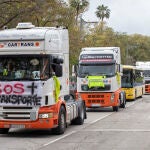 Cientos de camiones se han manifestado este lunes, octavo día de protesta por la subida del precio del gasoil por el centro de la ciudad de Murcia.