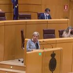 La presisenta del PP de Segovia y senadora, Paloma Sanz