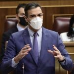 El presidente del Gobierno, Pedro Sánchez, interviene en una sesión plenaria en el Congreso de los Diputados