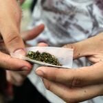 Un joven prepara un porro de marihuana, un derivado del cannabis, que sigue siendo la sustancia ilegal más consumida por los adolescentes