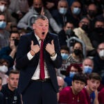 Jasikevicius, en un partido reciente de la Euroliga