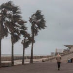 Una persona camina en la Playa de la Malvarrosa. Continúa el temporal de lluvia y viento en Valencia