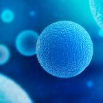 La creación de óvulos artificiales podría ser la solución a la mayor causa actual de infertilidad