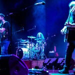 The Mad Rovers, en directo