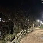 Lugar donde fue rescatado el joven a las orillas del Pisuerga