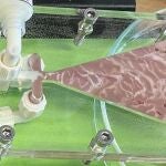 La proteína del guisante y la grasa son entremezcladas para recrear el típico veteado de tocino de la carne de alta calidad