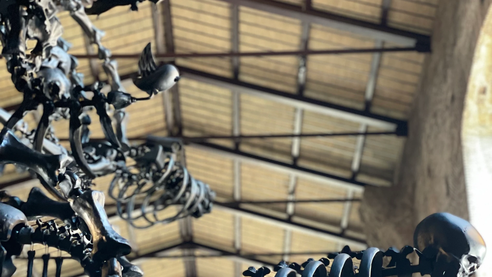 Uno de los elementos principales de la obra de Ai Weiwei expuesto en Roma