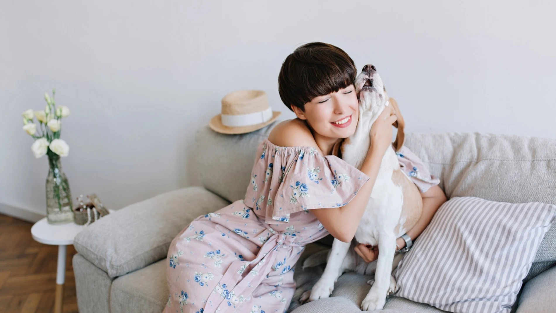 Soluciones para eliminar el pelo de las mascotas