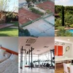 Academia Equelite