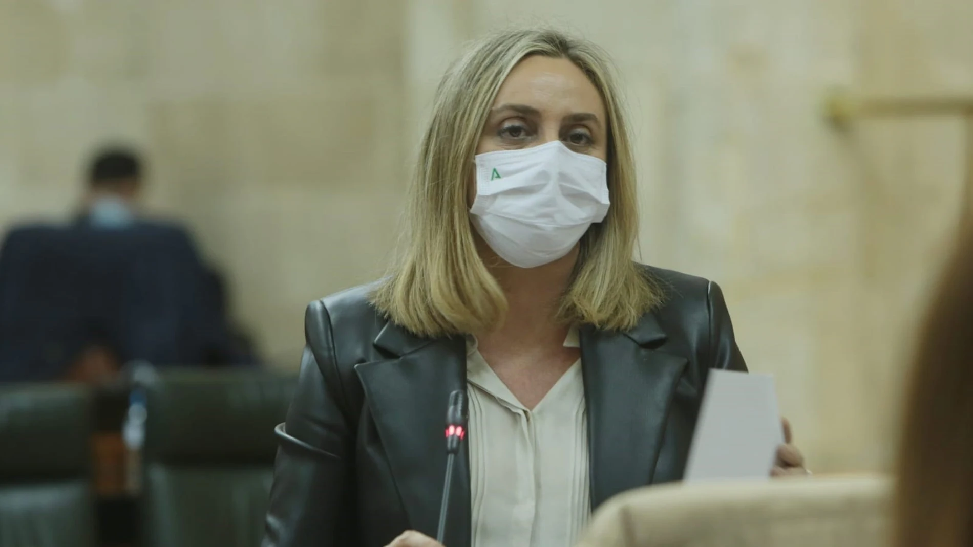 La consejera de Fomento, Marifrán Carazo
