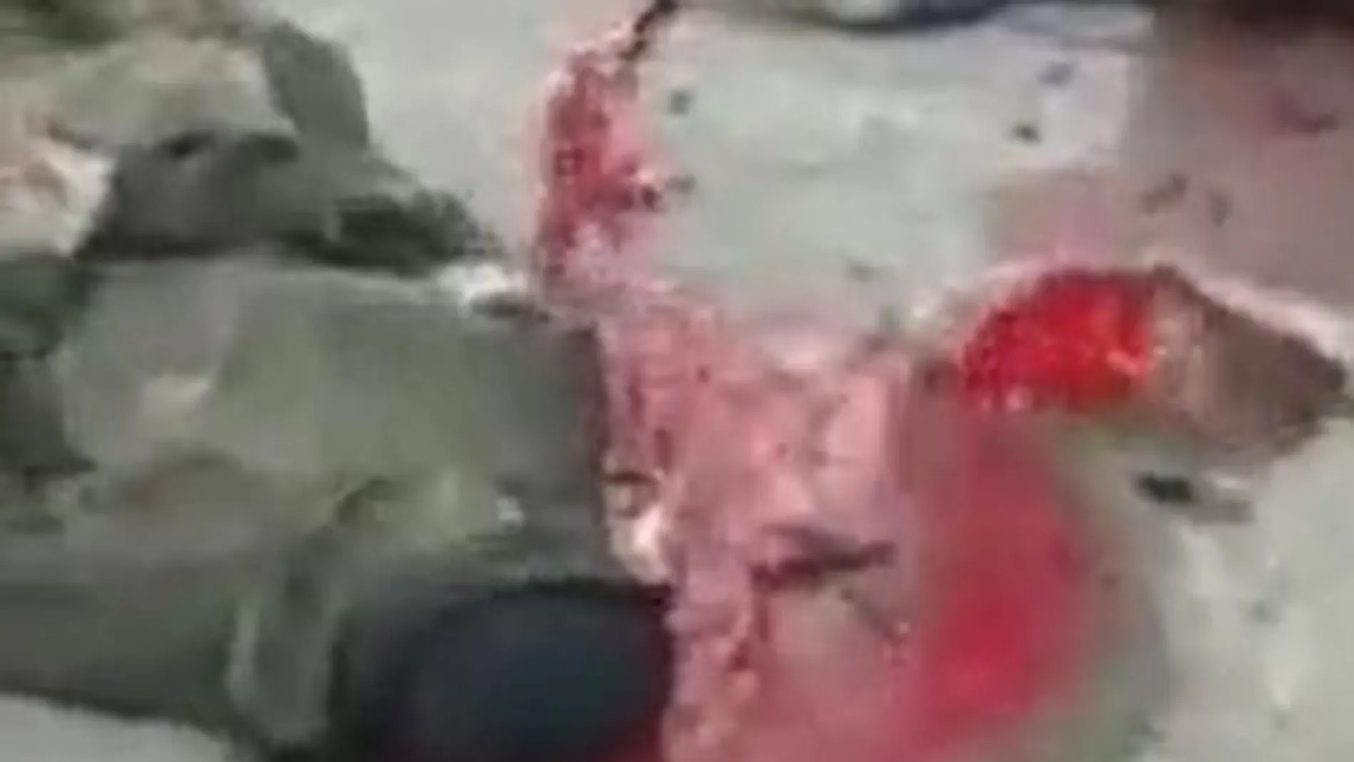 Un soldado ruso muerto ejecutado presuntamente por tropas ucranianas