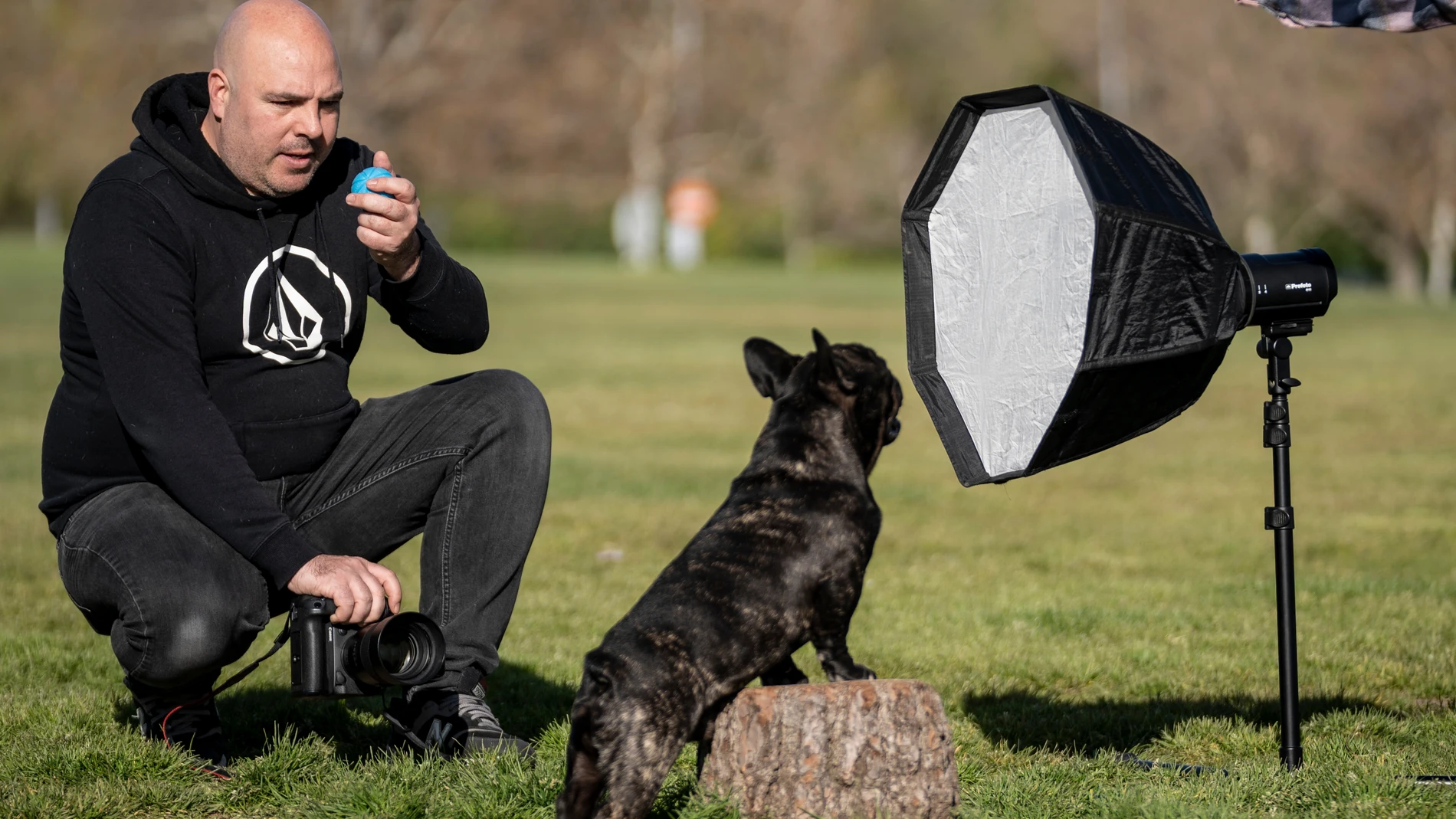 Emilio Cuenca, el fotografo de perros, durante una de sus sesiones