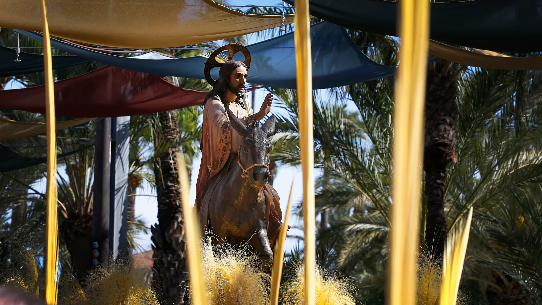 Los fieles portan sus palmas blancas, algunas de ellas ornamentales, durante la procesión junto al paso de Jesús Triunfante este Domingo de Ramos en Elche, declarada de interés turístico internacional.
