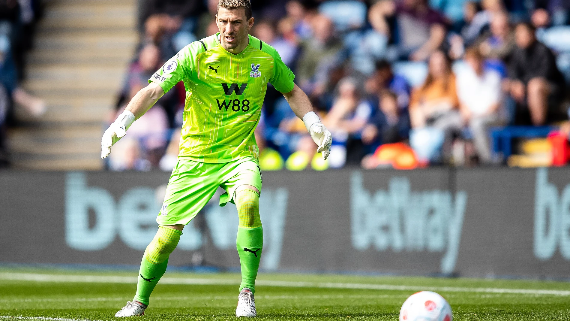 Vicente Guaita con el Crystal Palace.