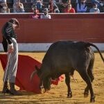 Novillada para alumnos de la Escuela de Tauromaquia de Salamanca