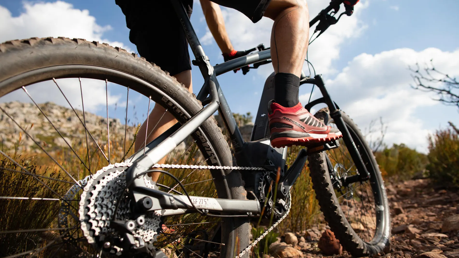 Bicicletas eléctricas