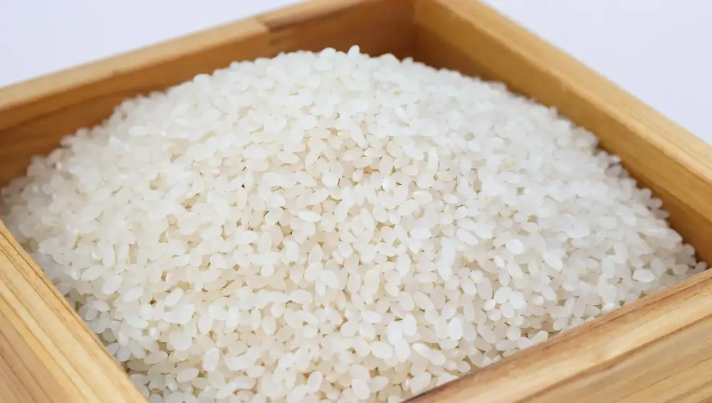 Arroz blanco