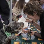 Empar Moliner en la fiesta de Sant Jordi