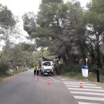 Poda en la Devesa