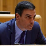 El presidente del Gobierno, Pedro Sánchez, durante la sesión de control del Senado