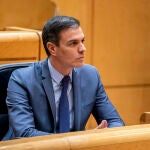 El presidente del Gobierno, Pedro Sánchez