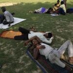 Indios se protegen bajo la sombra de los árboles de las altas temperaturas