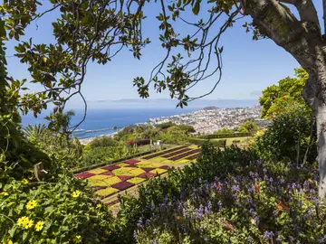 La naturaleza en estado puro es la seña de identidad de Madeira La naturaleza en estado puro es la seña de identidad de Madeira