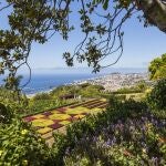 La naturaleza en estado puro es la seña de identidad de Madeira