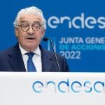 El consejero delegado de Endesa, José Bogas, durante su discurso, hoy, a los accionistas