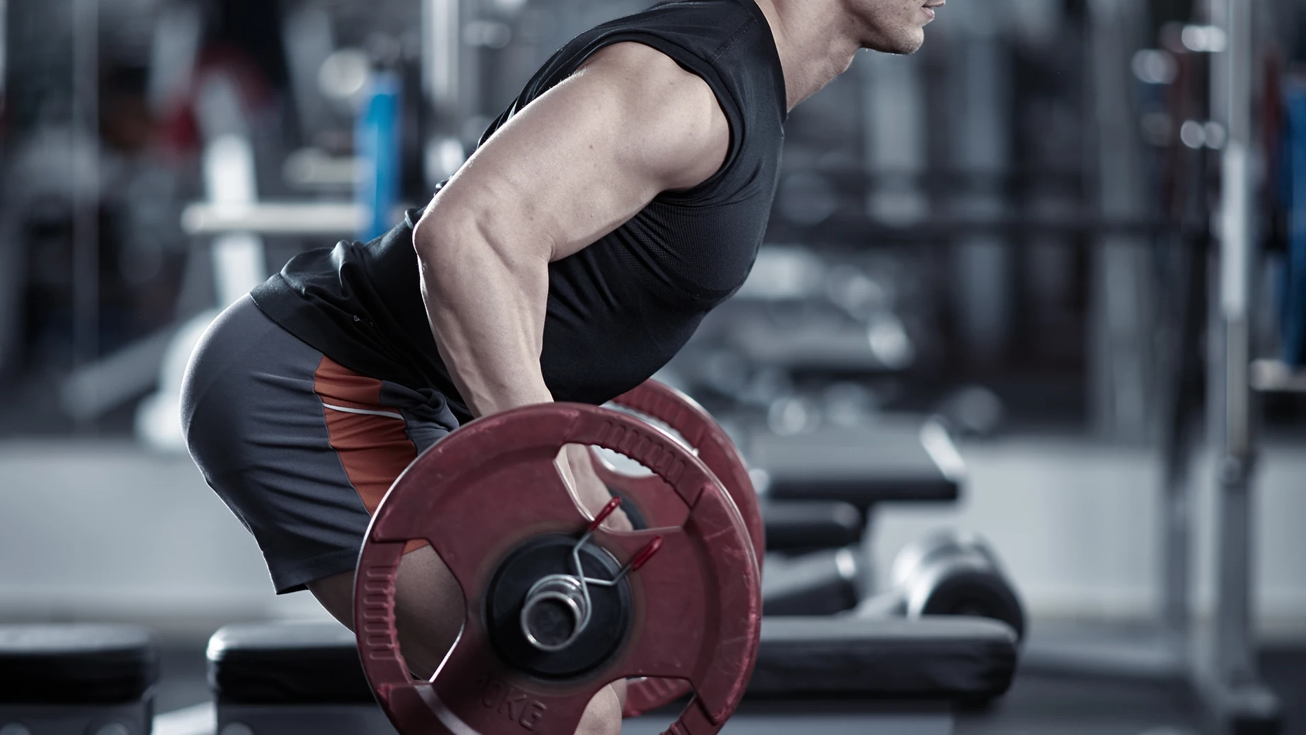 gimnasio