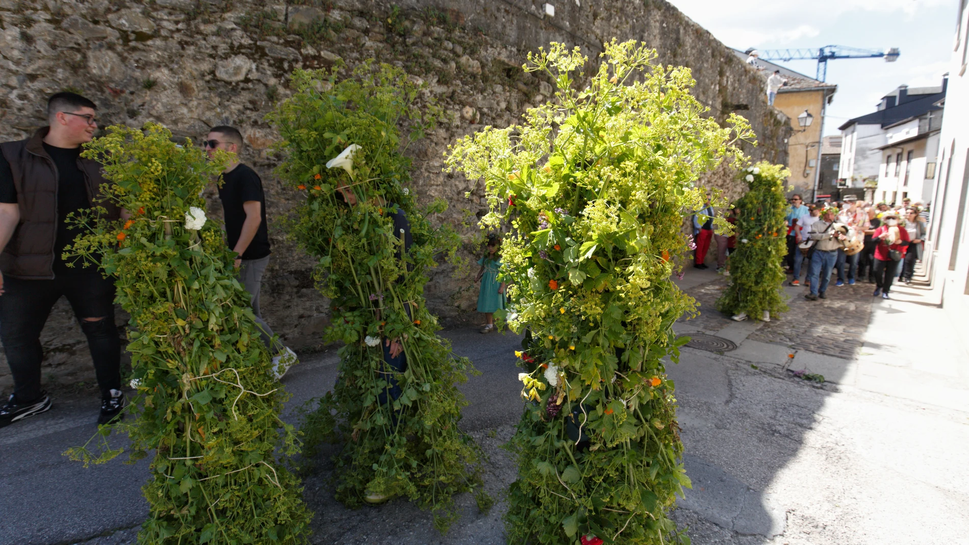 Fiesta de los Maios de Villafranca del Bierzo