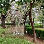 Lluvia en València