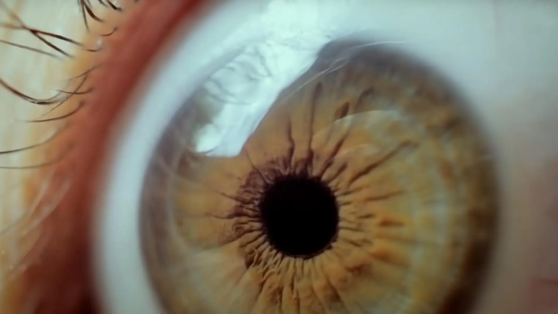 Mantener los ojos abiertos cuando el cuerpo pide lo contrario, es posible.