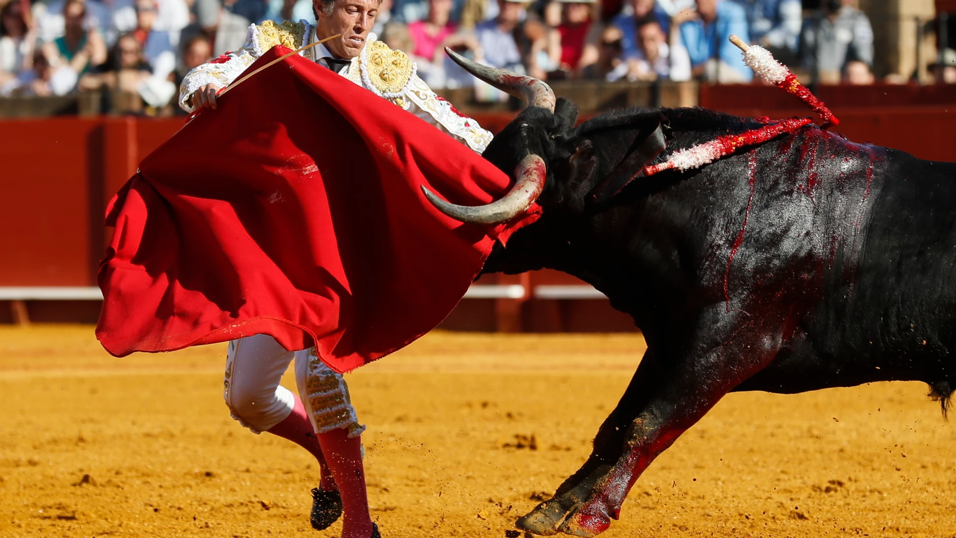 SEVILLA, 08/05/2022.- El diestro Manuel Escribano durante el decimocuerto festejo de abono de la Feria de Abril celebrado hoy domingo en la Real Maestranza de Sevilla. EFE/José Manuel Vidal.