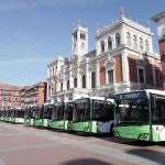 Los quince nuevos autobuses que se mueven con gas comprimido, en la Plaza Mayor de Valladolid