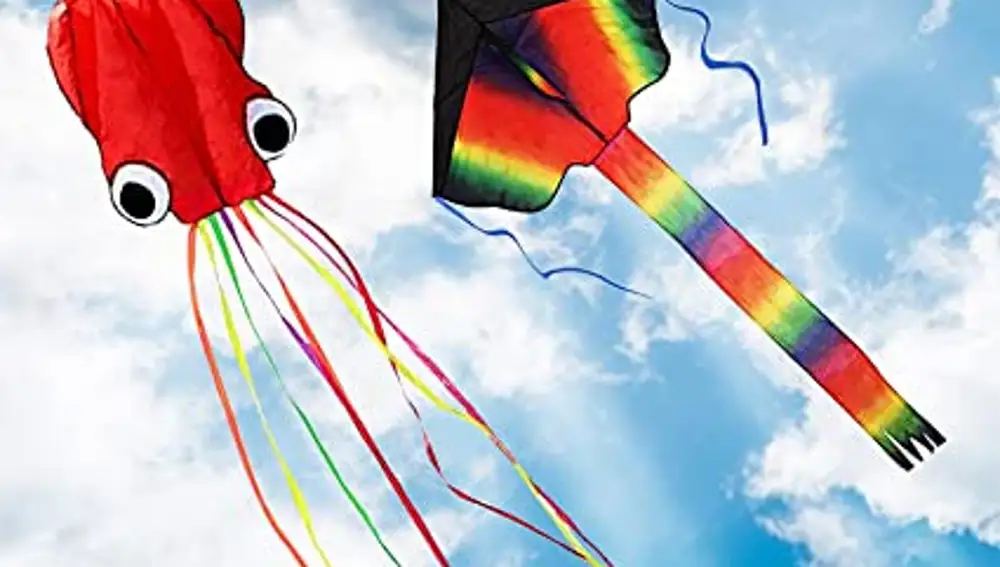 Pack de 2 cometas de Zoomsky