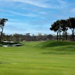 Panorámica de la calle de uno de los hoyos del nuevo campo de golf.