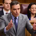 Pedro Sanchez durante la sesión de control al gobierno en el Congreso