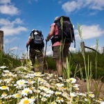 Camino de Santiago termina frente a la tumba del apóstol en la Catedral de Santiago de Compostela, donde se celebra el año jubilar cada vez que el 25 de julio coincide en domingo | Fuente: Turismo de Galicia