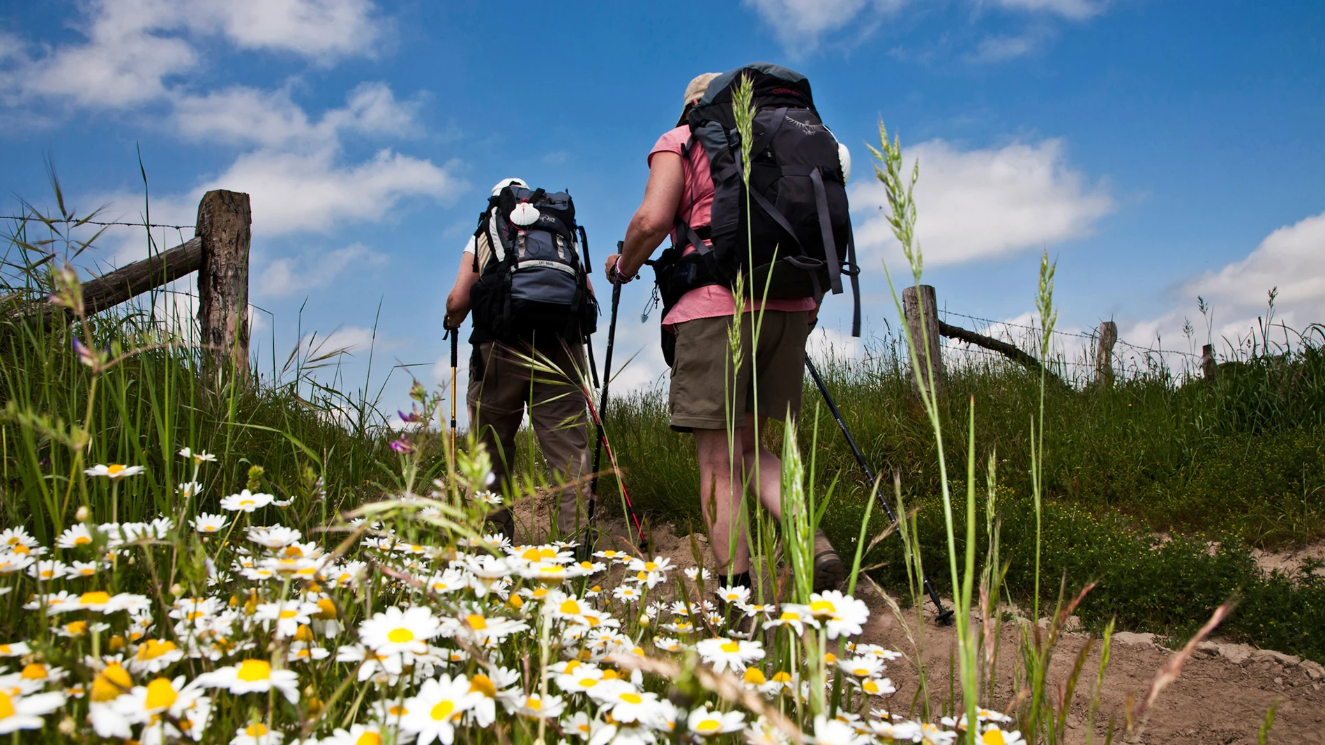 Camino de Santiago termina frente a la tumba del apóstol en la Catedral de Santiago de Compostela, donde se celebra el año jubilar cada vez que el 25 de julio coincide en domingo | Fuente: Turismo de Galicia