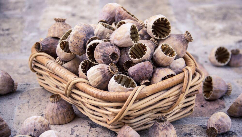 Las semillas de amapola se ha puesto de moda en los últimos años pero hay países que la siguen considerando una droga