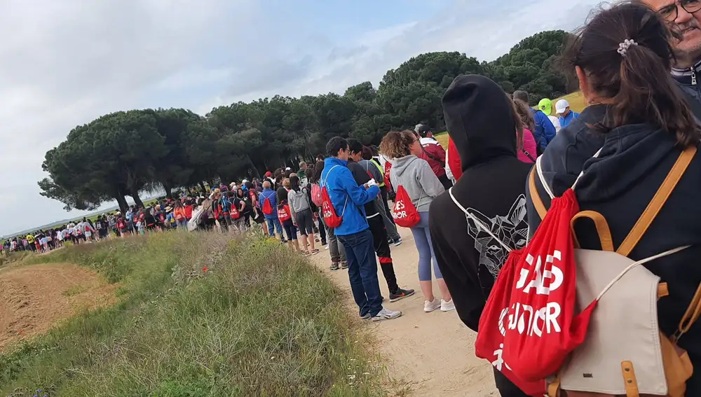 530 personas participaron en la V Edición del "Paseo Saludable" de Paradinas de San Juan (Salamanca)