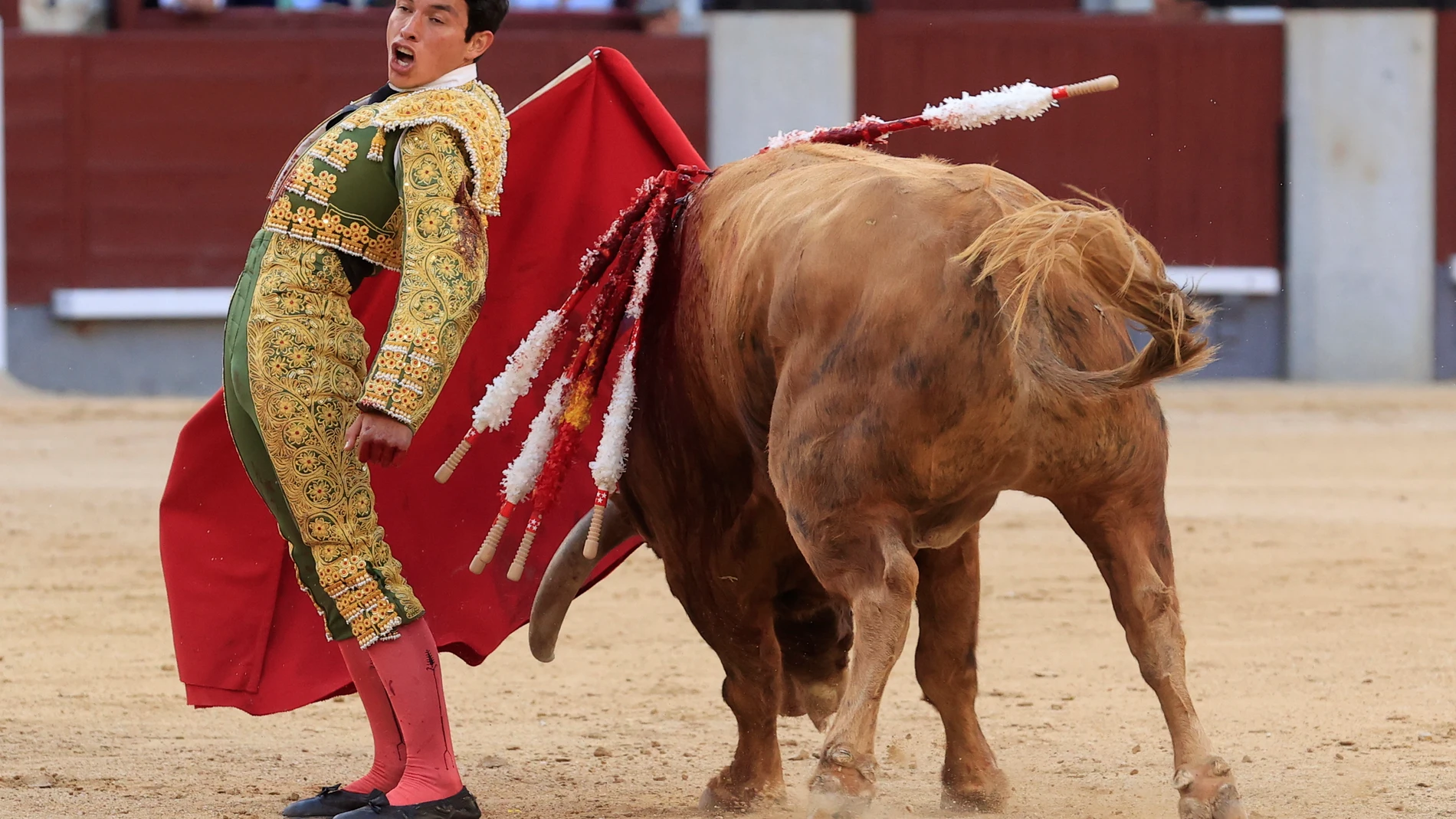 El novillero mexicano Isaac Fonseca da un pase por la espalda