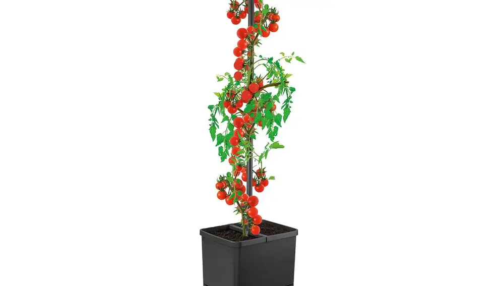 Truco para cuidar las plantas de jardín: torre para plantas con depósito de agua 2 en 1