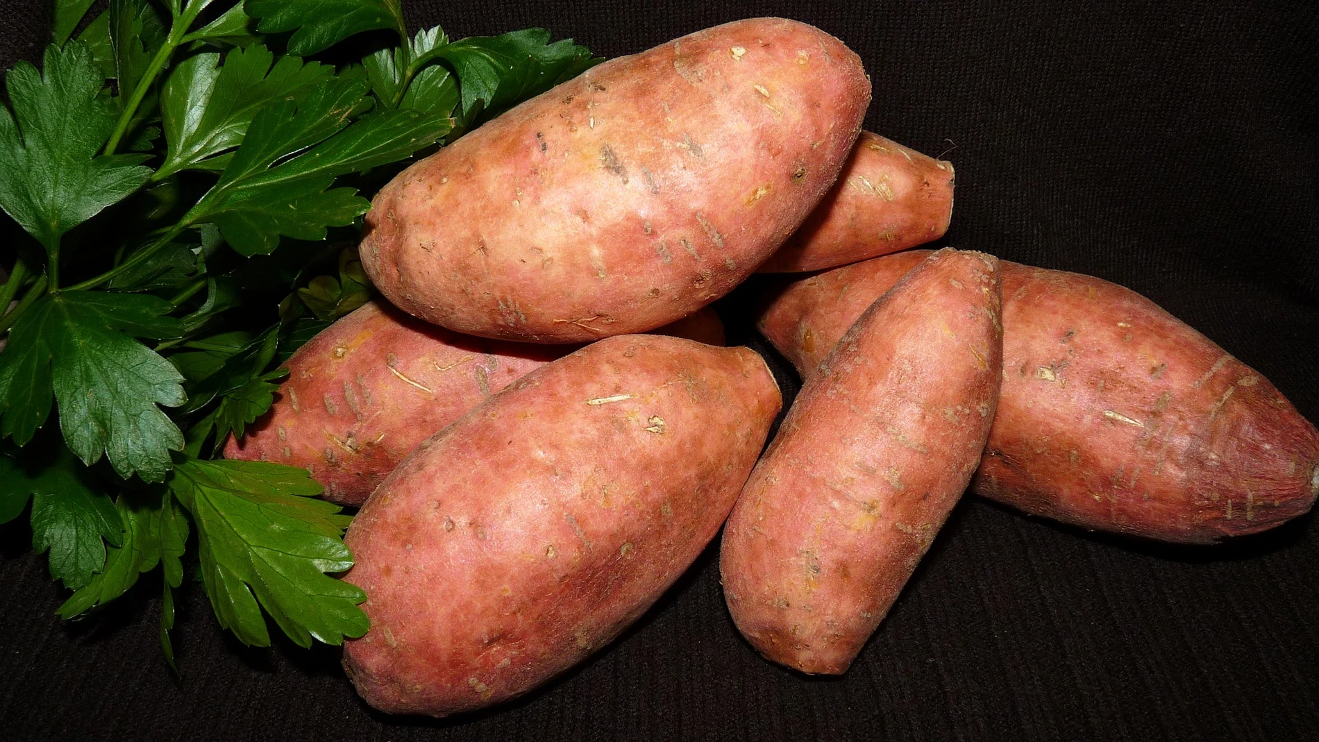 Batatas
