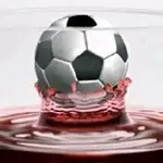 El vino, un gran aliado de los deportistas