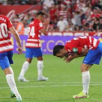 El delantero del Granada Jorge Molina (d) tras fallar un penalti durante el partido de la última jornada de Liga en Primera División. EFE/Pepe Torres.